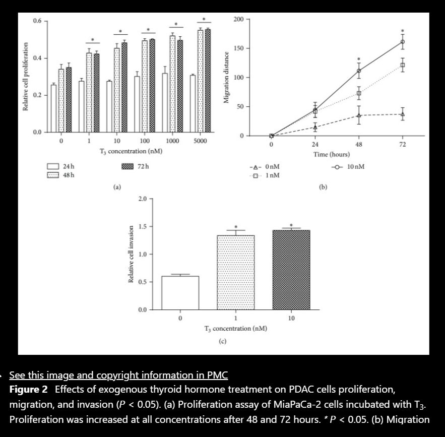 LT4 drives cancer